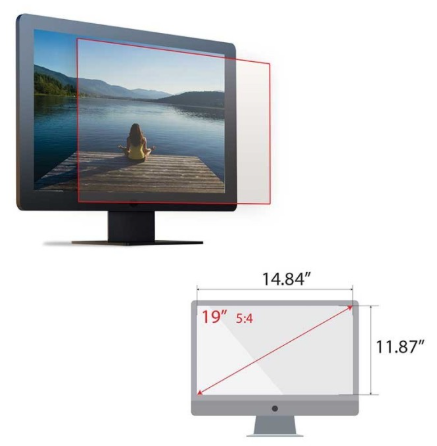 Display/TV Screen Protectors